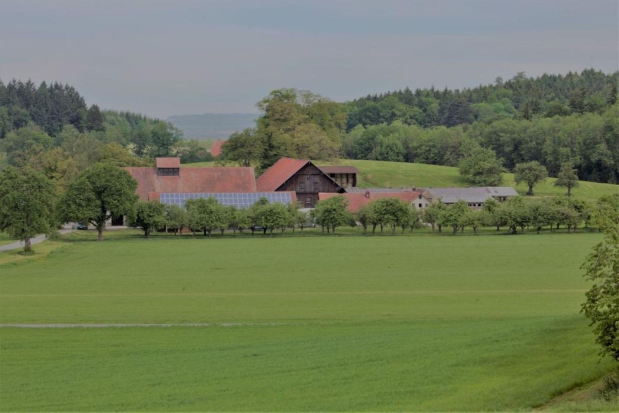 Roesslerhof Ferienwohnung Roesslerweiher Schlier المظهر الخارجي الصورة