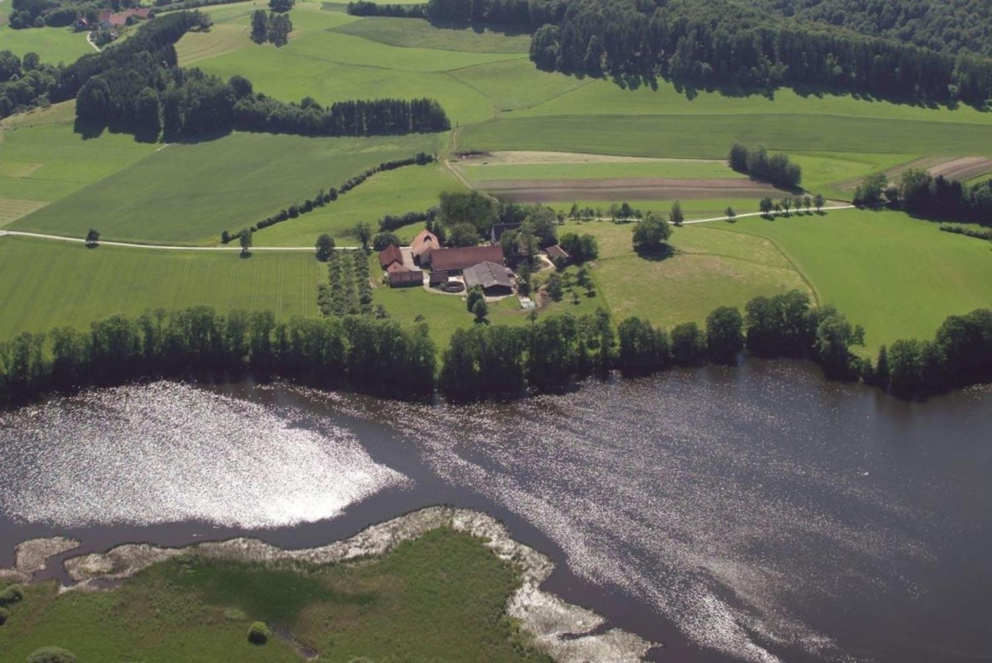 Roesslerhof Ferienwohnung Roesslerweiher Schlier المظهر الخارجي الصورة